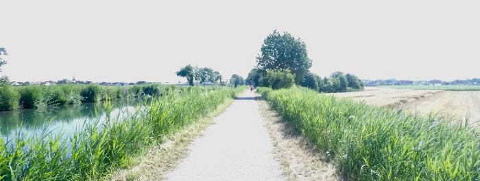 Foto canal de Colmar